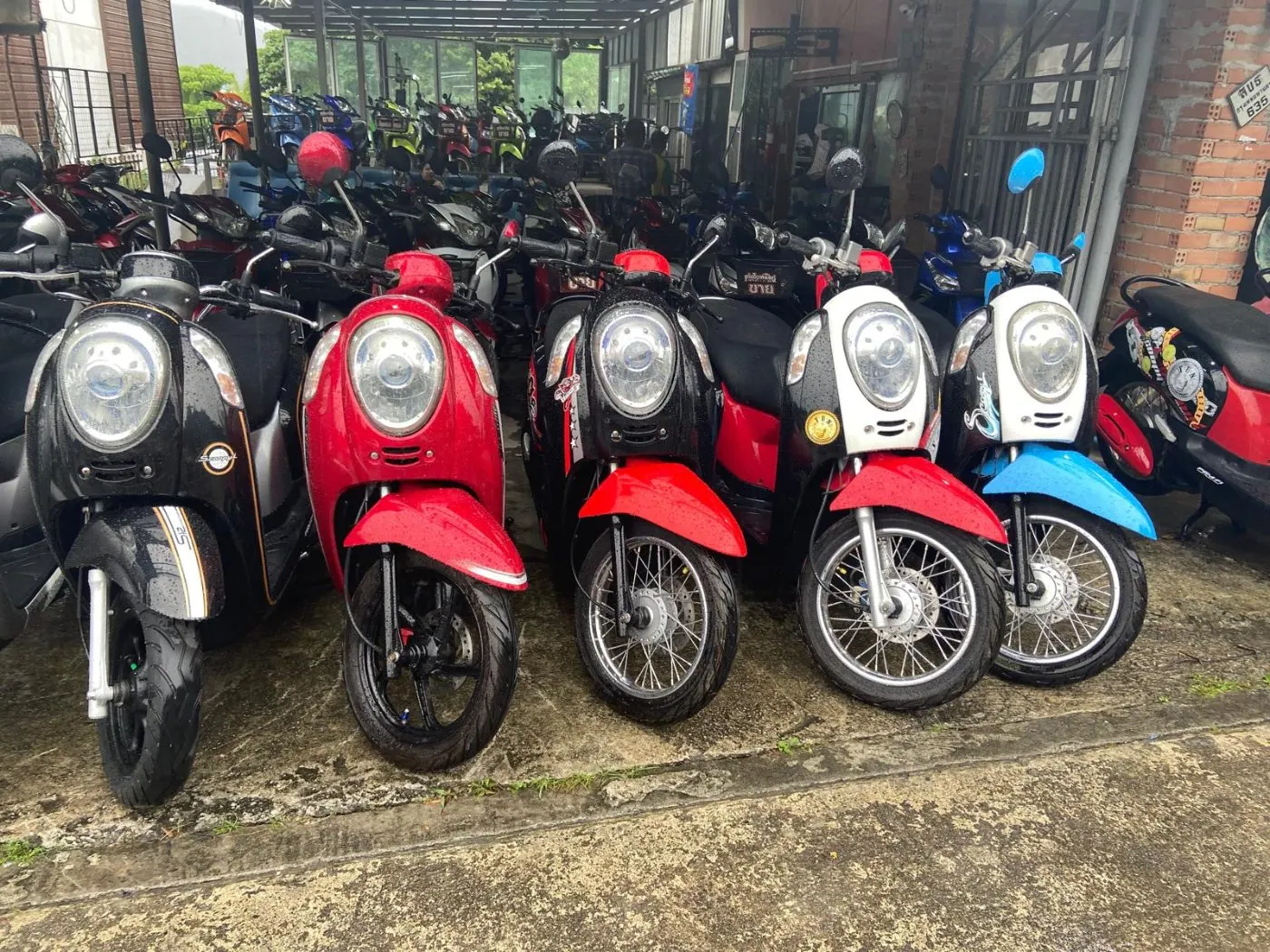 Our scooter fleet in Kamala